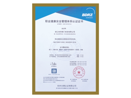 職業(yè)健康安全管理體系